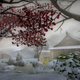 Image for article titled More On Shiki-Tei, The PS3 Gardening "Game"